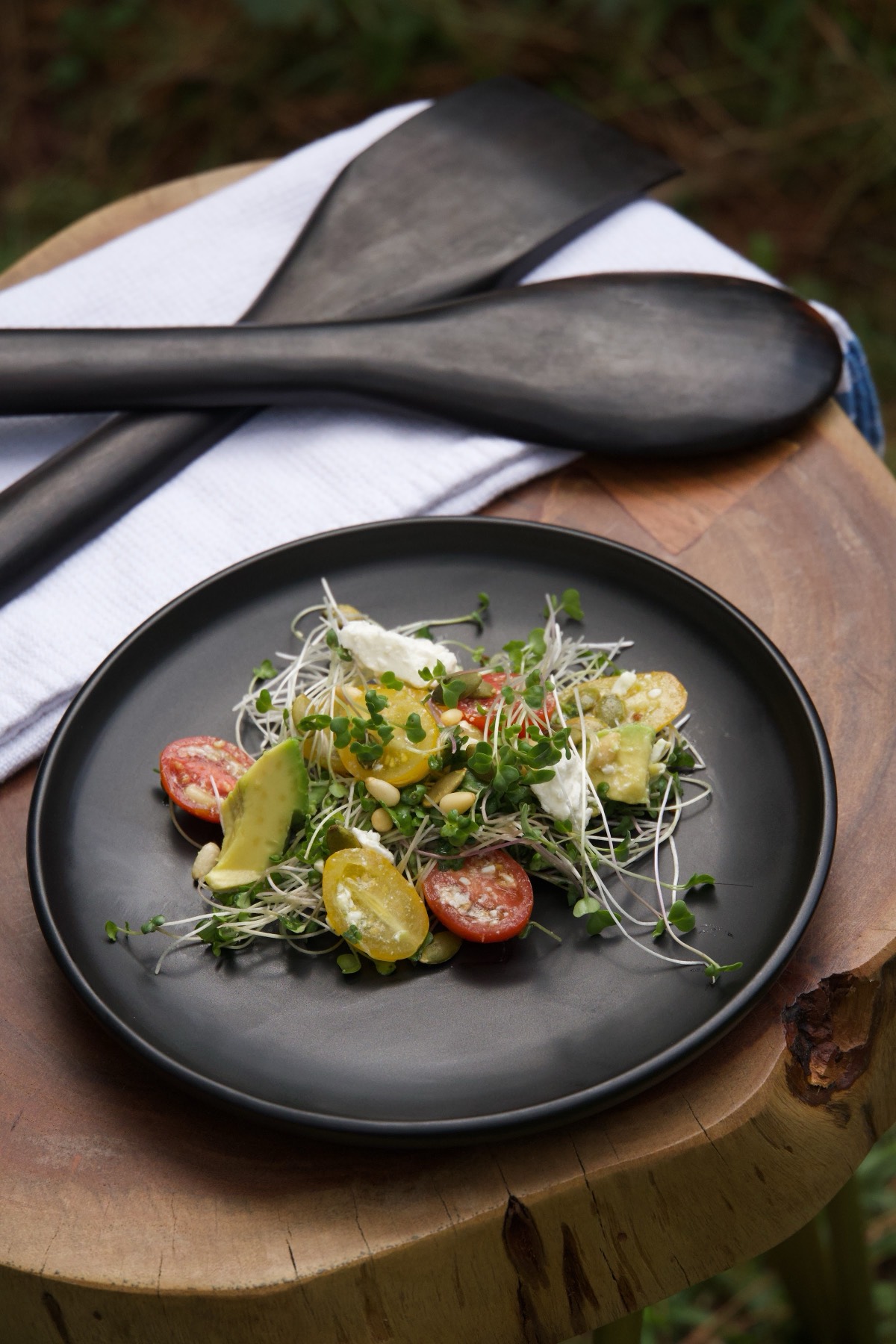A plated microgreen salad on a dark plate