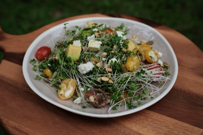 Microgreen salad with tomato, avocado, feta and pumpkin seeds