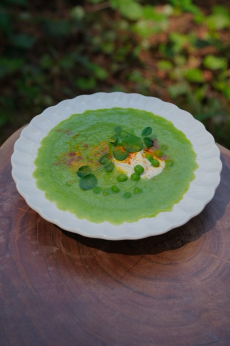 Chilled green soup garnished with microgreens